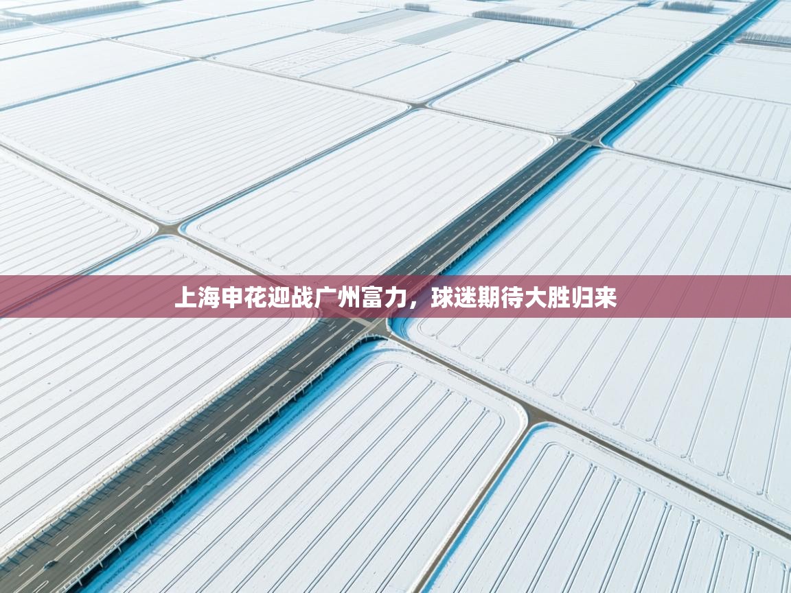 上海申花迎战广州富力，球迷期待大胜归来  第1张