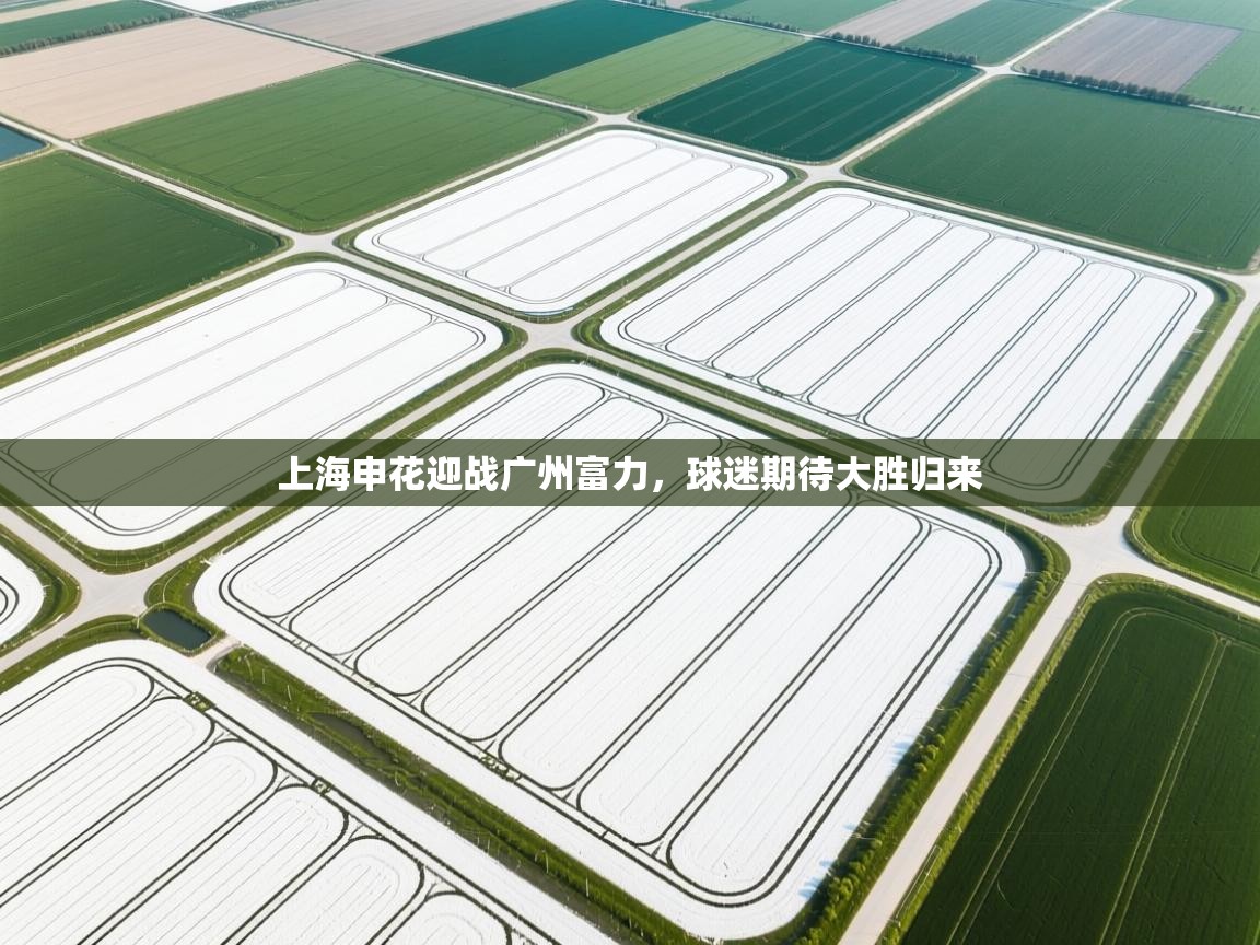 上海申花迎战广州富力，球迷期待大胜归来  第2张