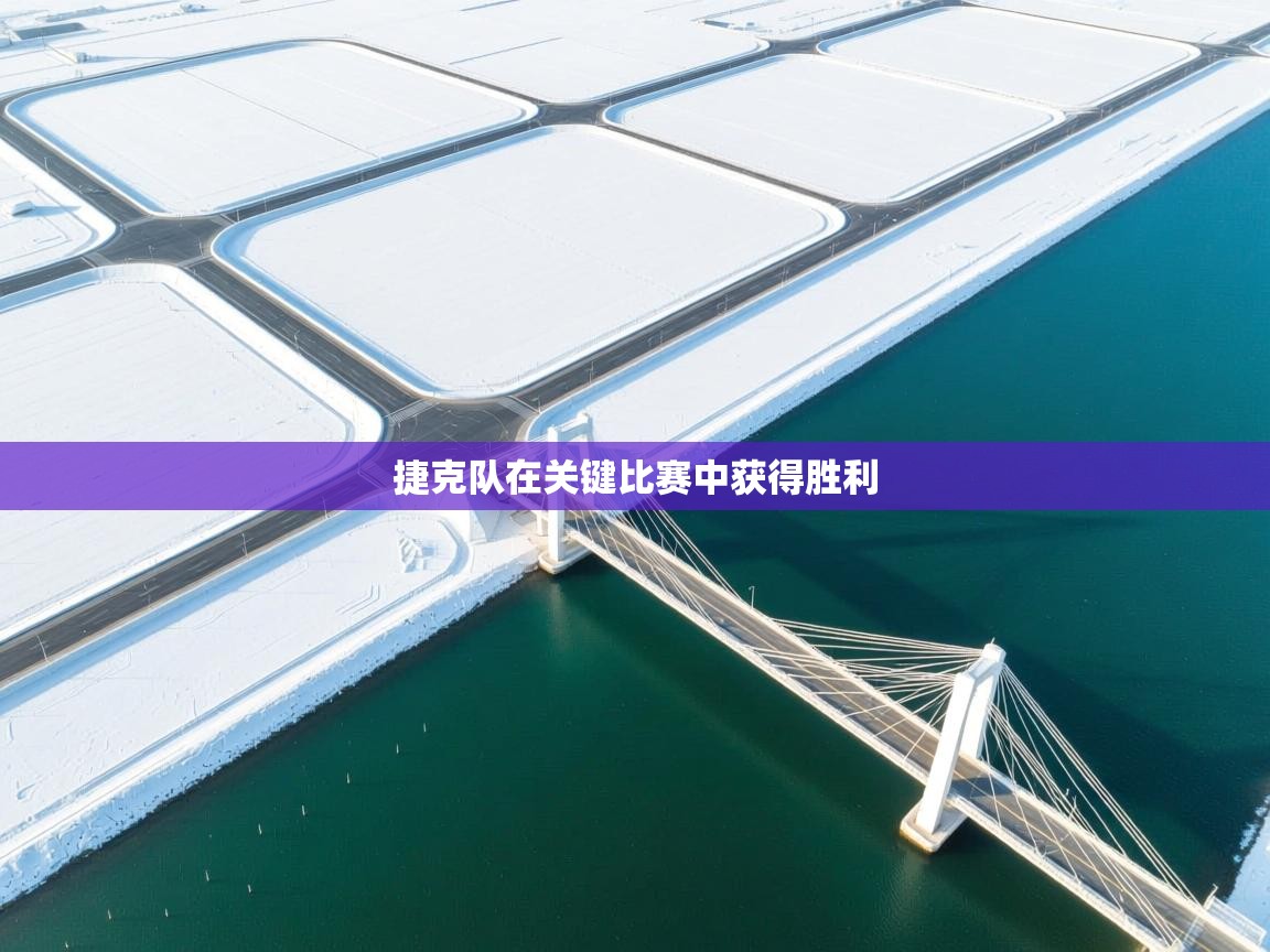 捷克队在关键比赛中获得胜利 第1张