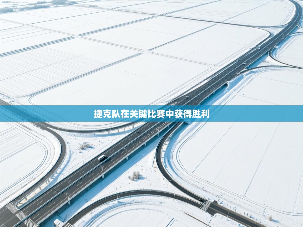 捷克队在关键比赛中获得胜利 第2张