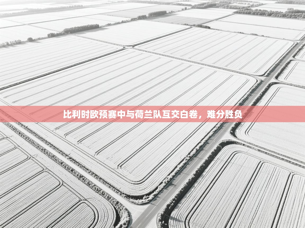 比利时欧预赛中与荷兰队互交白卷，难分胜负  第1张